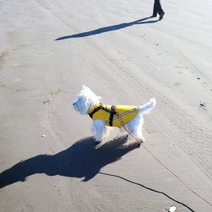 Meet your Posher, Christine